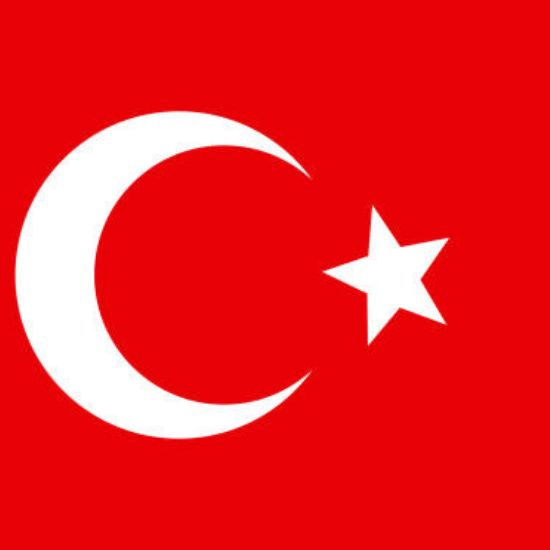 Turkish Legal Translation